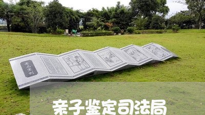 亲子鉴定司法局