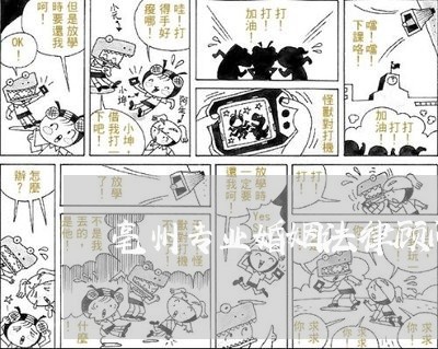 亳州专业婚姻法律顾问网站/2023061917939