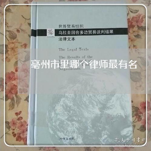 亳州市里哪个律师最有名