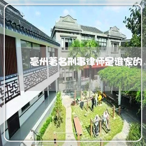 亳州著名刑事律师是谁家的/2023060917947