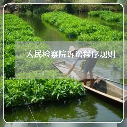 人民检察院诉讼程序规则 人民检察院诉讼程序规则