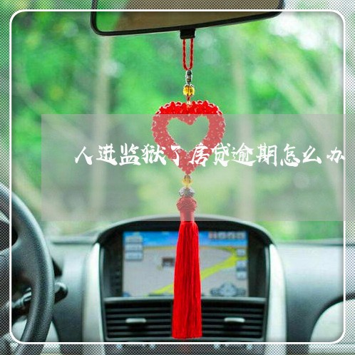 人进监狱了房贷逾期怎么办/2023061172935 人进监狱了房贷逾期怎么办/2023061172935