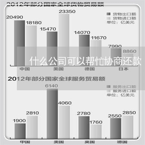 什么公司可以帮忙协商还款/2023110849259