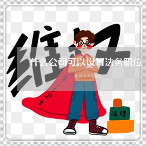 什么公司可以设置法务职位 什么公司可以设置法务职位