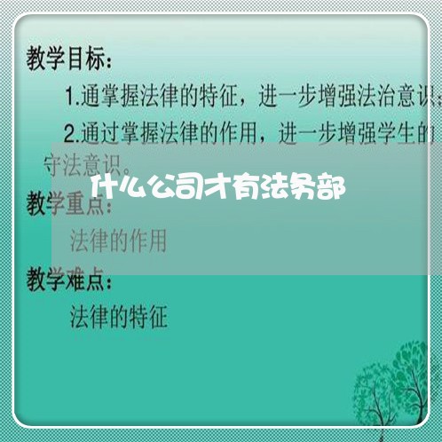 什么公司才有法务部 什么公司才有法务部