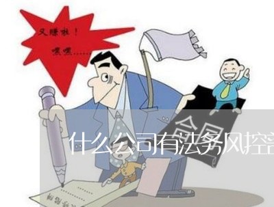 什么公司有法务风控部岗位 什么公司有法务风控部岗位