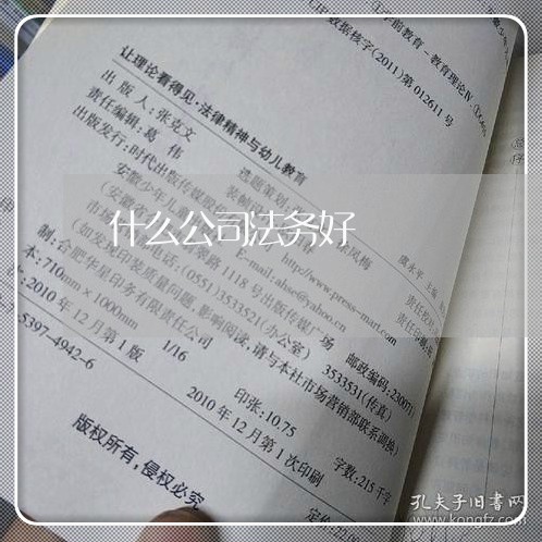 什么公司法务好 什么公司法务好