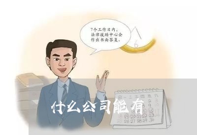 什么公司能有