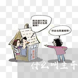 什么叫主干法规