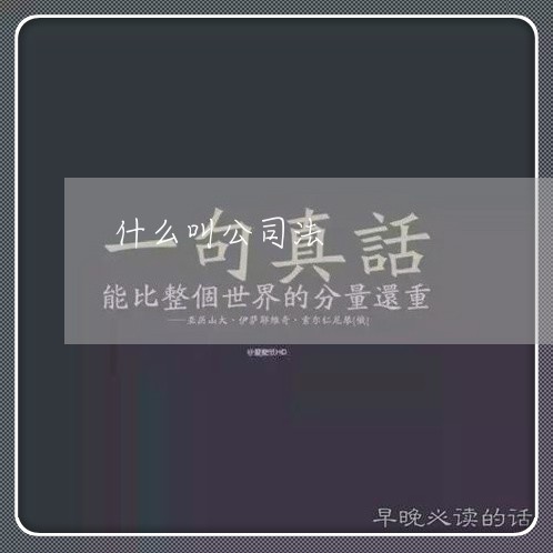 什么叫公司法