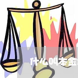 什么叫本金延期交房贷款/2023041826046