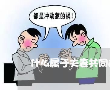 什么属于夫妻共同还房贷/2023041850572