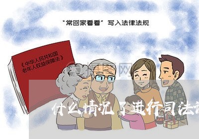 什么情况了进行司法调查