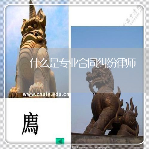 什么是专业合同纠纷律师
