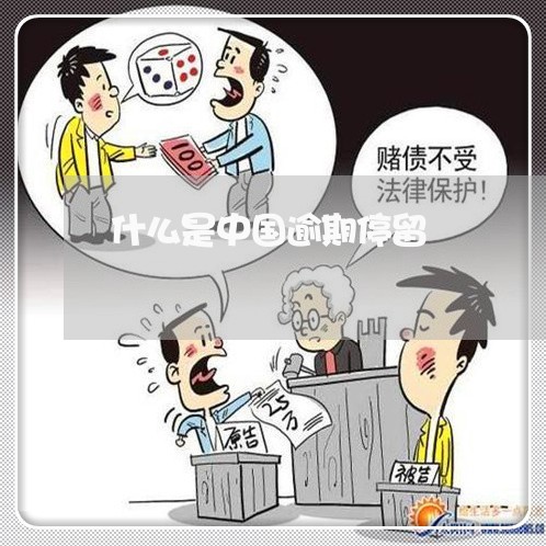 什么是中国逾期停留/2023020713927