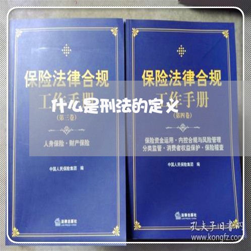 什么是刑法的定义 什么是刑法的定义