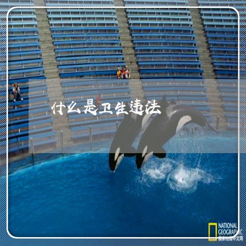 什么是卫生违法