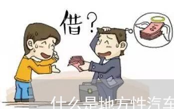 什么是地方性汽车法规政策 什么是地方性汽车法规政策
