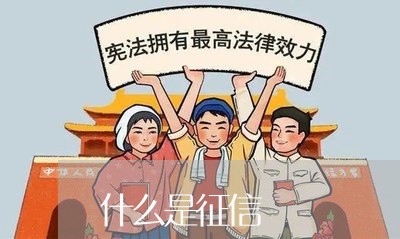 什么是征信/2023013013948