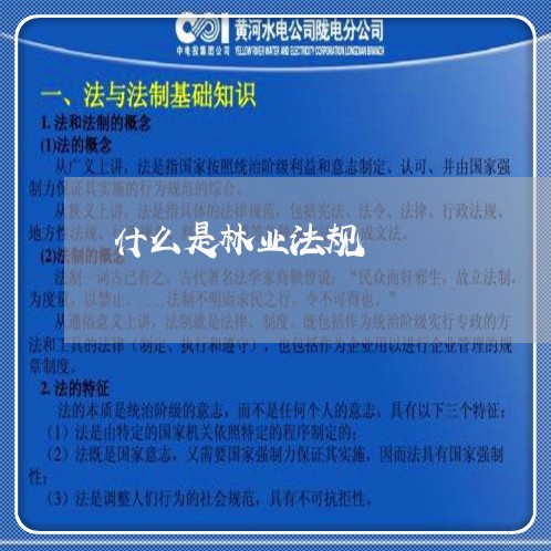 什么是林业法规 什么是林业法规