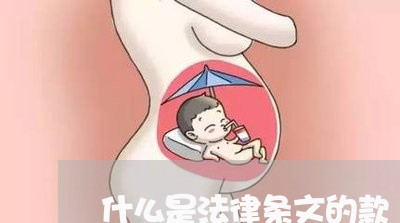 什么是法律条文的款