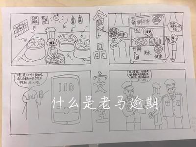 什么是老马逾期