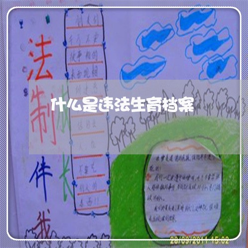 什么是违法生育档案 什么是违法生育档案