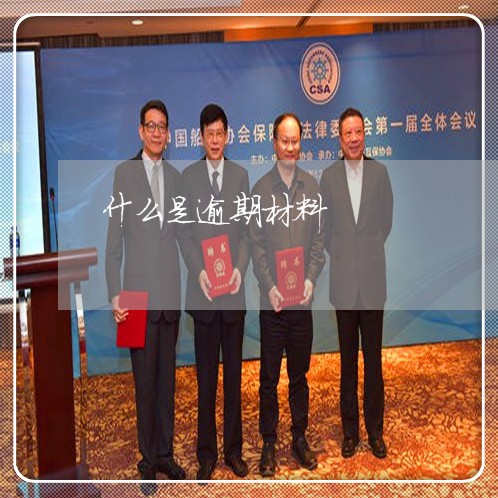 什么是逾期材料 什么是逾期材料
