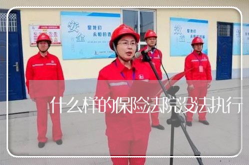 什么样的保险法院没法执行 什么样的保险法院没法执行
