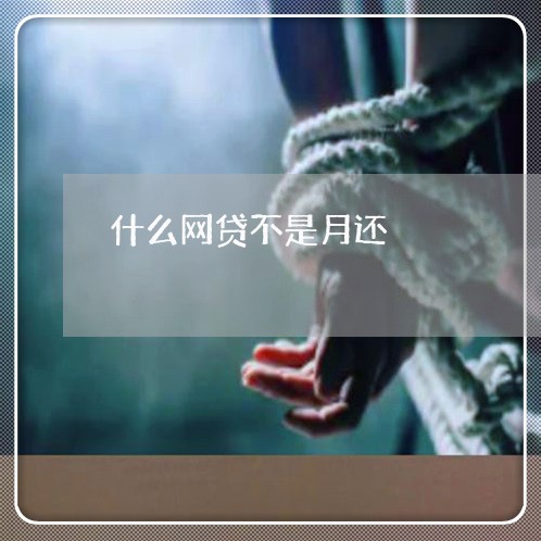 什么网贷不是月还/2023112531403