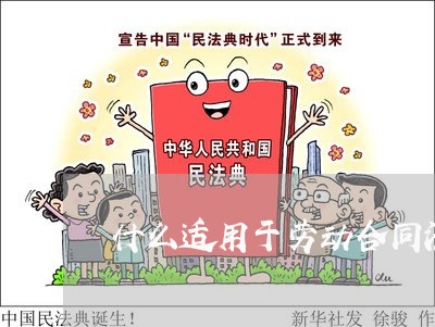 什么适用于劳动合同法的调整
