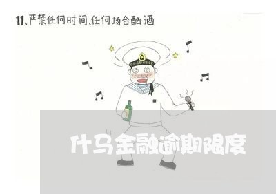 什马金融逾期限度