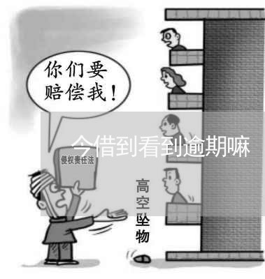 今借到看到逾期嘛