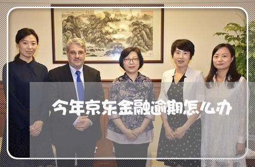 今年京东金融逾期怎么办 今年京东金融逾期怎么办