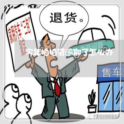 今年拍拍贷逾期了怎么办/2023061937037