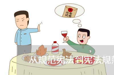 从规范宪法到宪法规范读后感