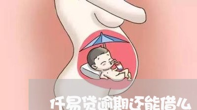仟易贷逾期还能借么
