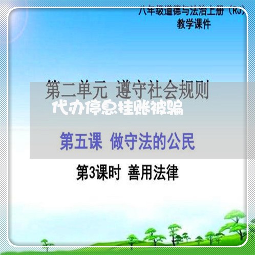 代办停息挂账被骗/2023030113148