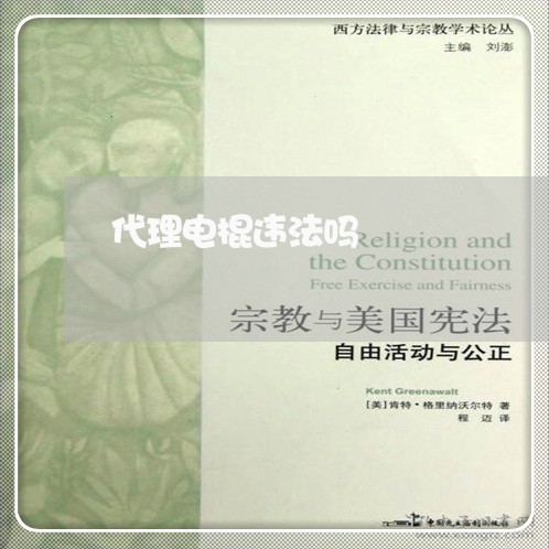 代理电棍违法吗