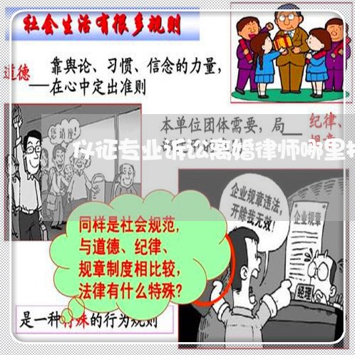 仪征专业诉讼离婚律师哪里找