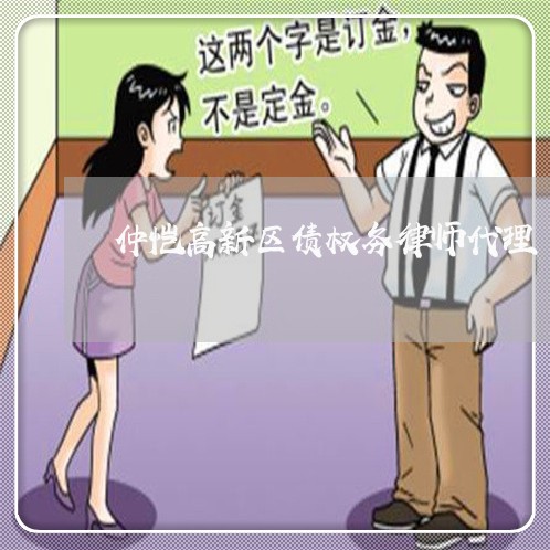 仲恺高新区债权务律师代理 仲恺高新区债权务律师代理
