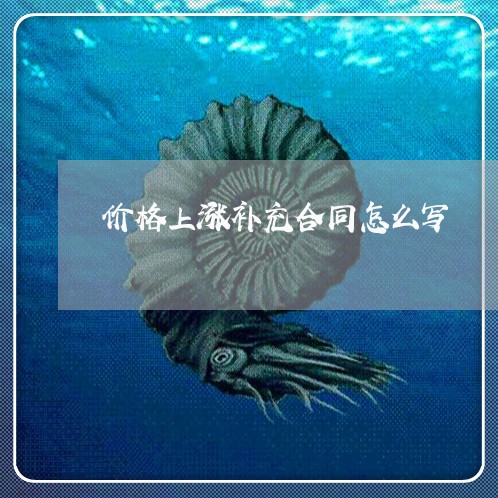 价格上涨补充合同怎么写/2023011684937 价格上涨补充合同怎么写/2023011684937