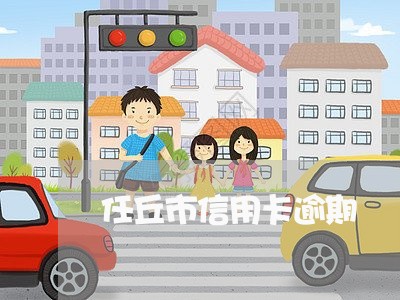 任丘市信用卡逾期/2023121637240