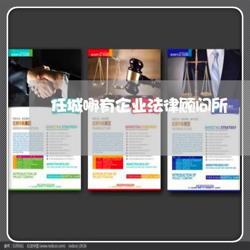 任城哪有企业法律顾问所/2023061947260