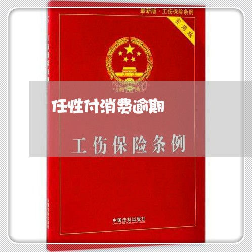 任性付消费逾期/2023071404937