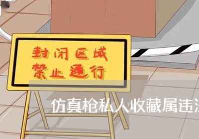 仿真枪私人收藏属违法