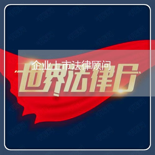 企业上市法律顾问/2023061730373