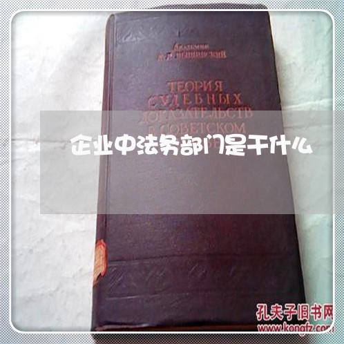 企业中法务部门是干什么