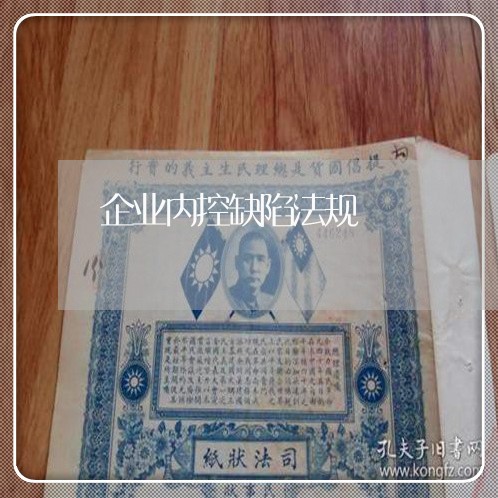 企业内控缺陷法规