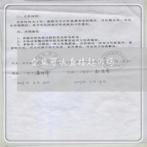 企业可以直接起诉吗
